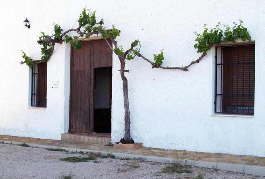 Casa Rural Casa Maxima 예끌라 객실 사진